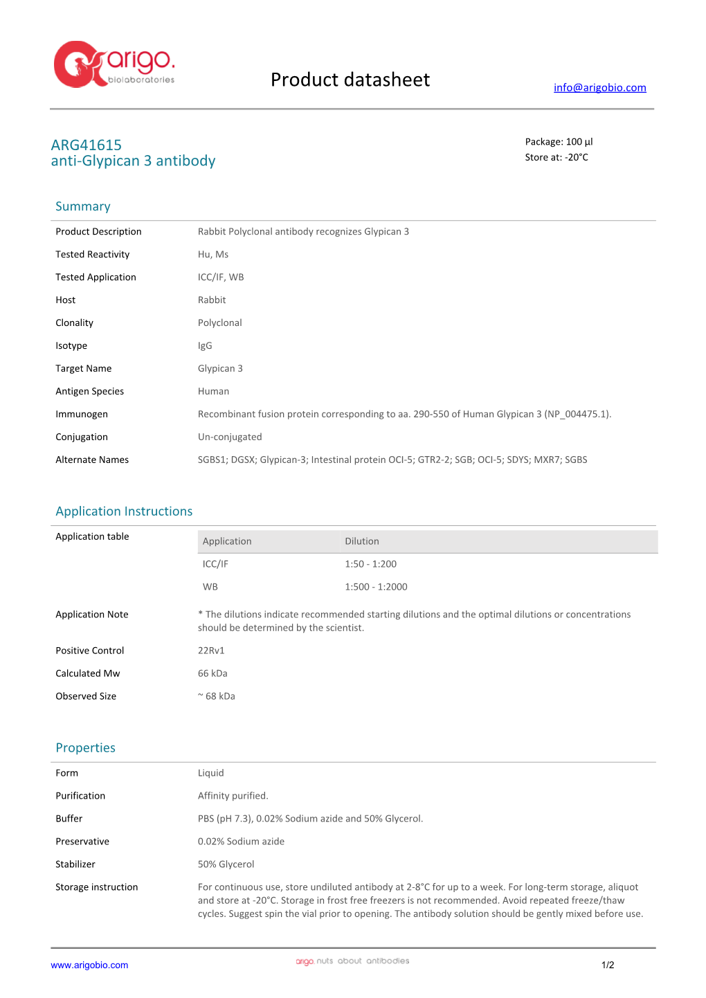 Anti-Glypican 3 Antibody (ARG41615)