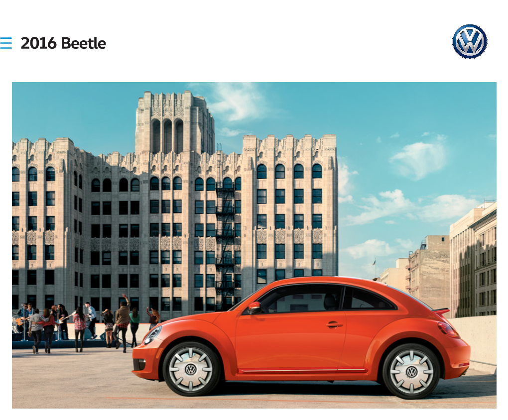 2016 Beetle Beetle