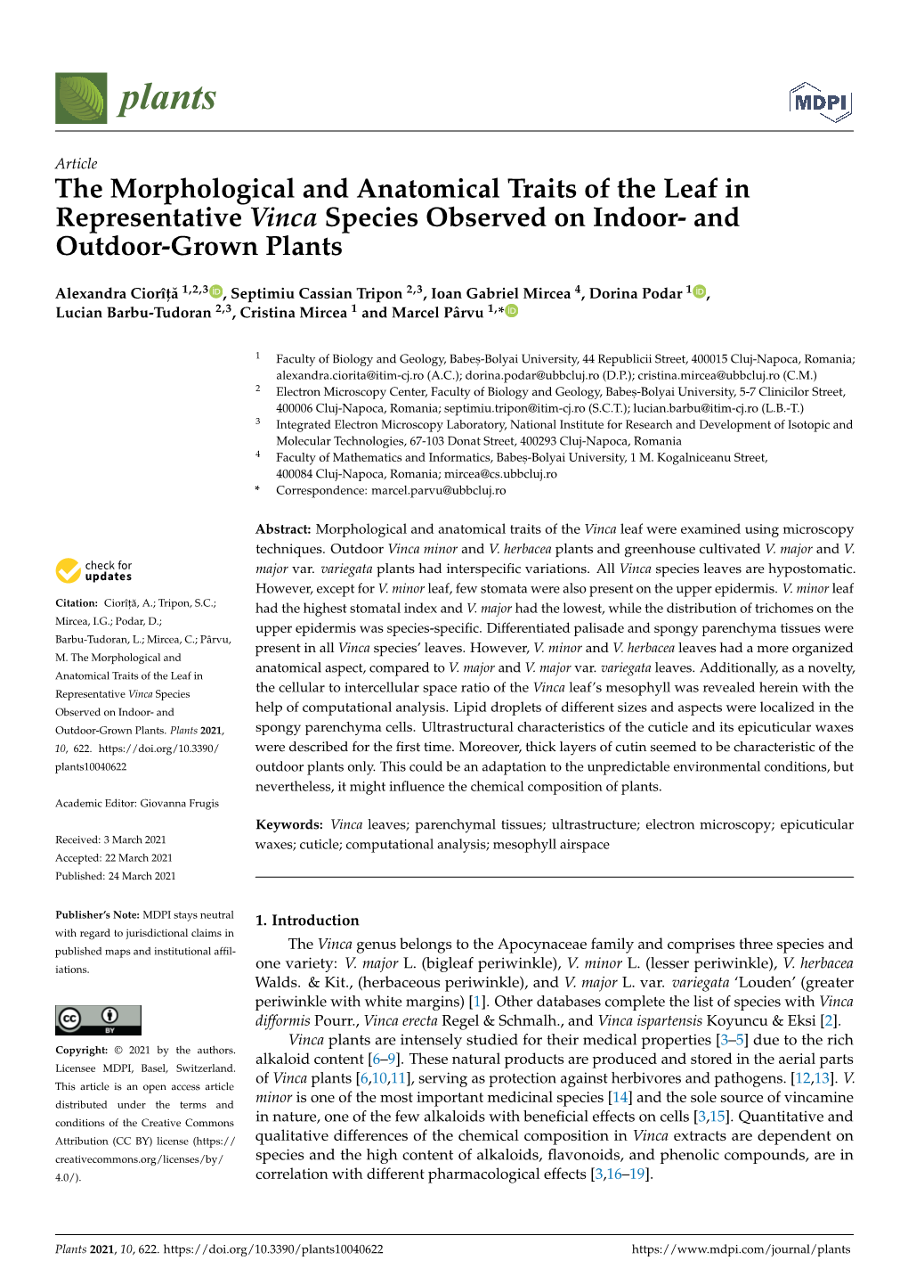 The Morphological and Anatomical Traits of the Leaf in Representative Vinca Species Observed on Indoor- and Outdoor-Grown Plants