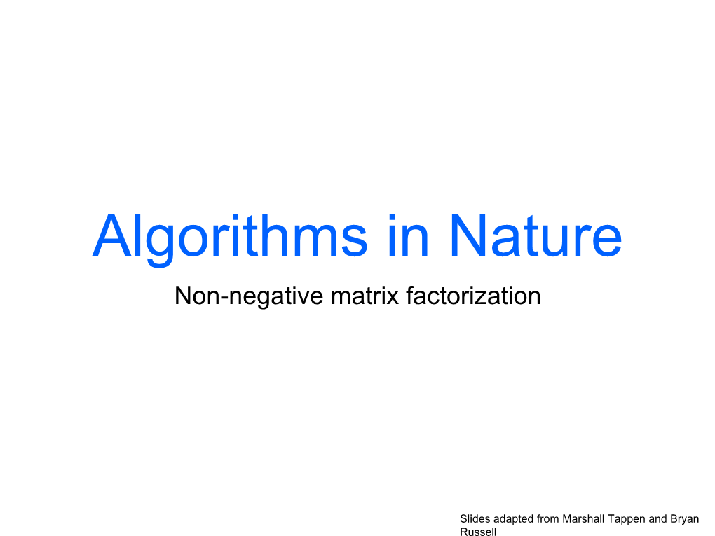 Non-Negative Matrix Factorization