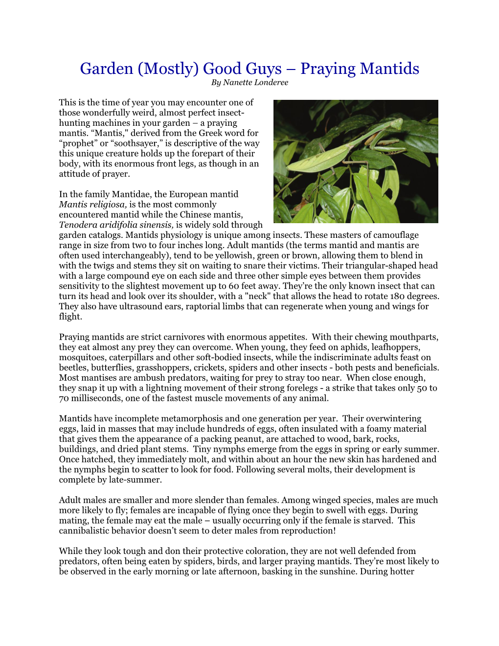 Garden (Mostly) Good Guys – Praying Mantids by Nanette Londeree