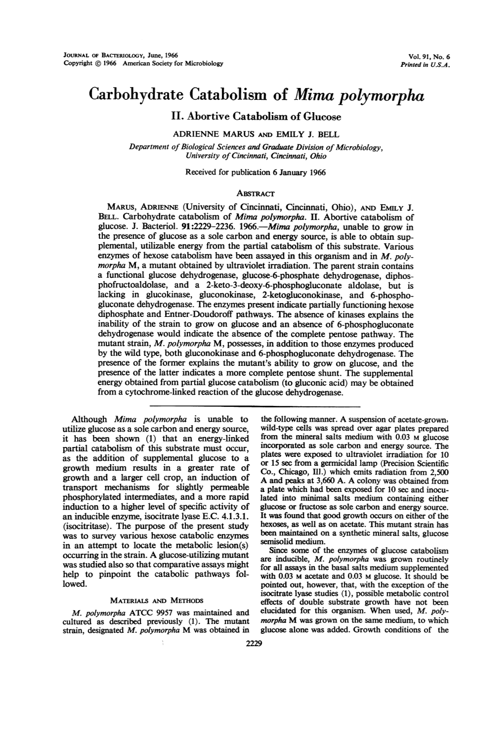 Carbohydrate Catabolism of Mima Polymorpha II