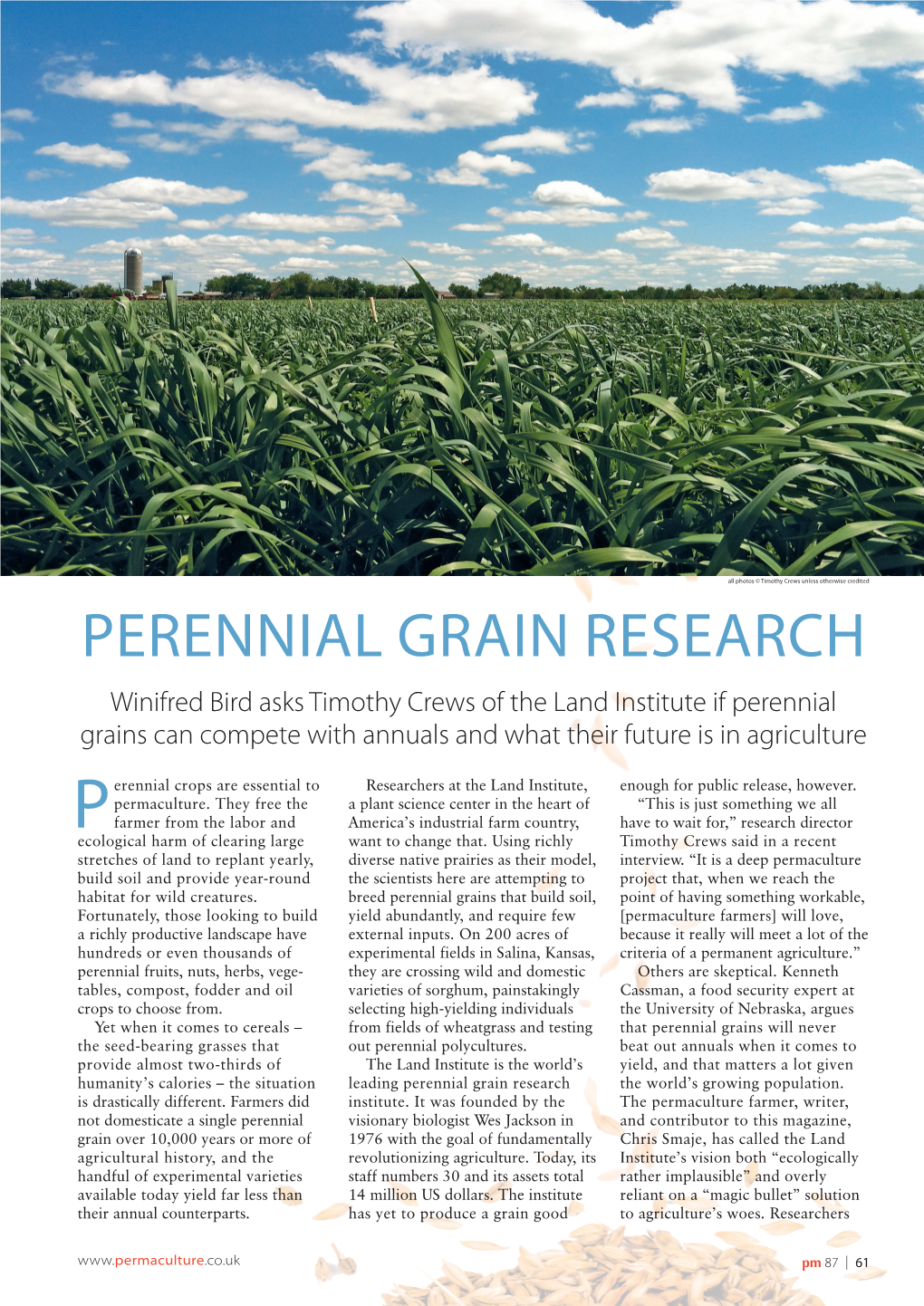 PERENNIAL GRAIN RESEARCH Winifred Bird Asks Timothy Crews of the Land Institute If Perennial Grains Can Compete with Annuals and What Their Future Is in Agriculture