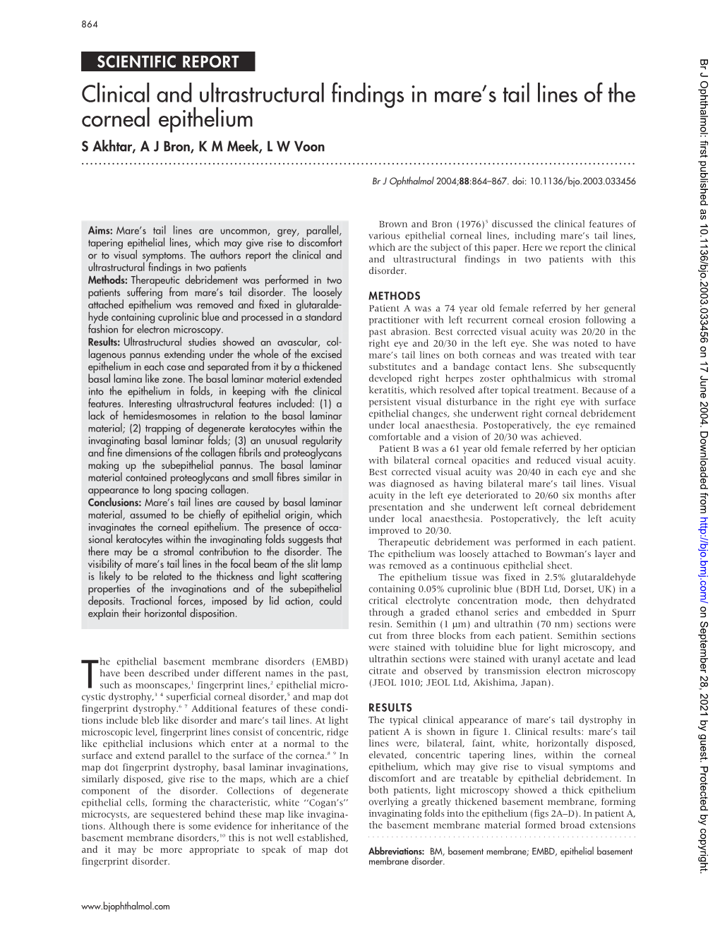 Clinical and Ultrastructural Findings in Mare's Tail Lines of the Corneal