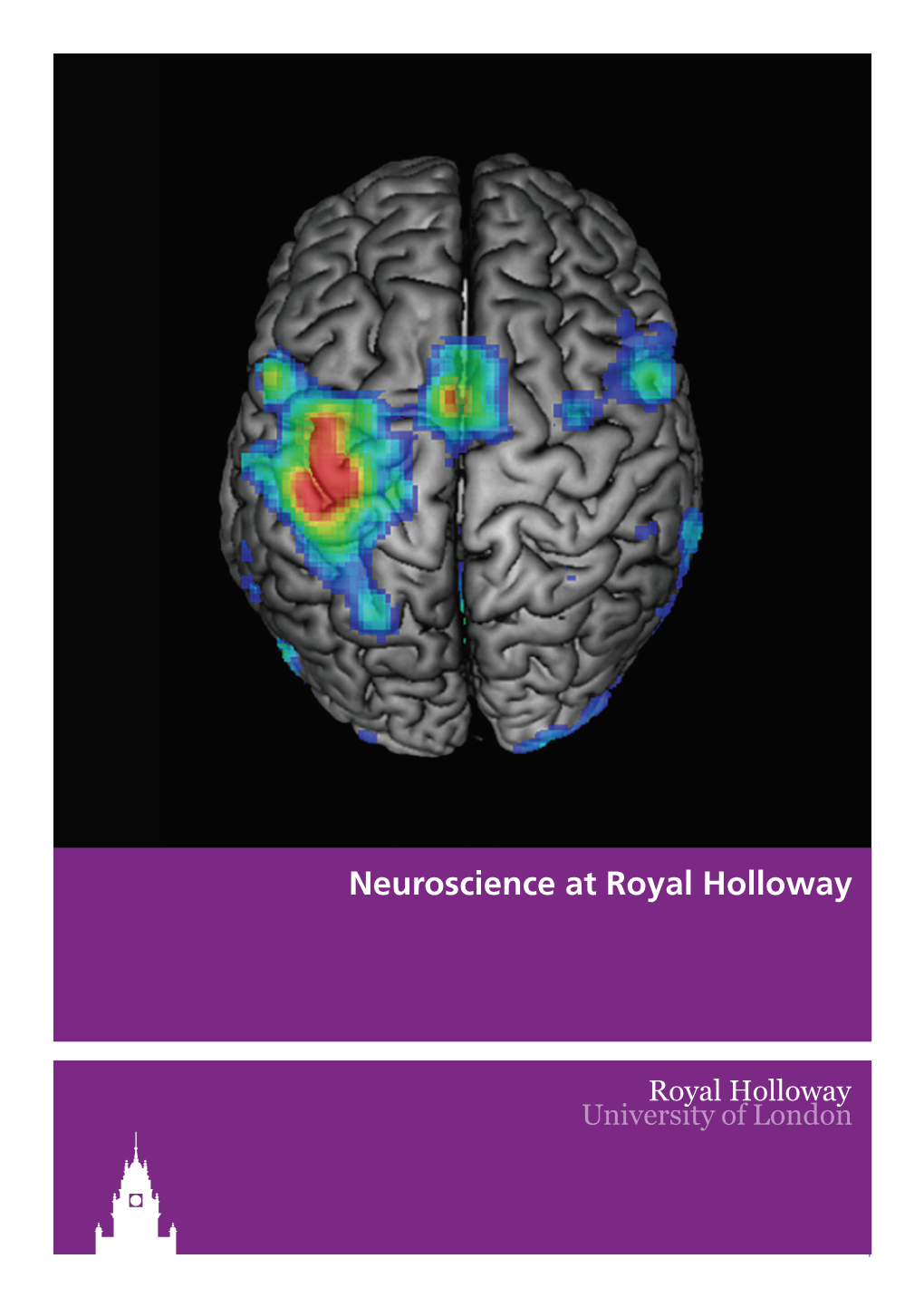 Neuroscience at Royal Holloway