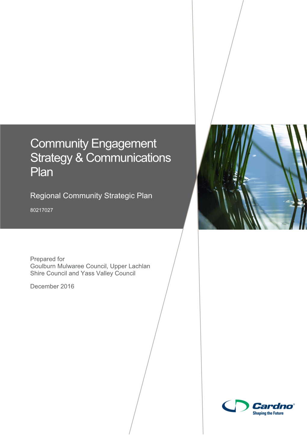 Community Engagement Strategy & Communications Plan Regional Community Strategic Plan