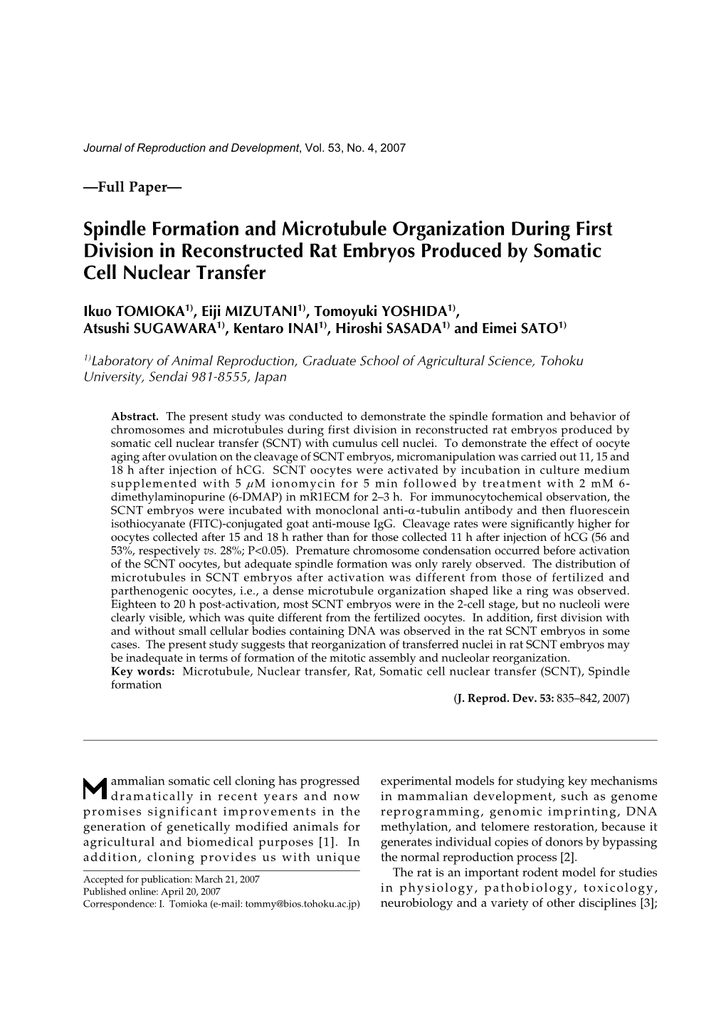 Spindle Formation and Microtubule Organization During First Division in Reconstructed Rat Embryos Produced by Somatic Cell Nuclear Transfer