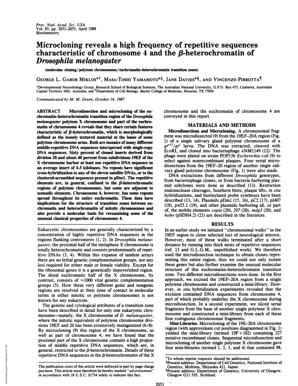 Drosophila Melanogaster (Molecular Cloning/Polytene Chromosomes/Euchromatin-Heterochromatin Transition Zones) GEORGE L