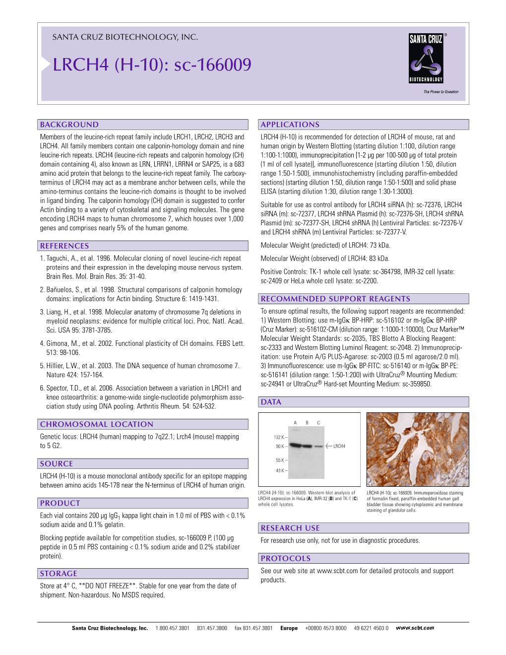 Datasheet Blank Template