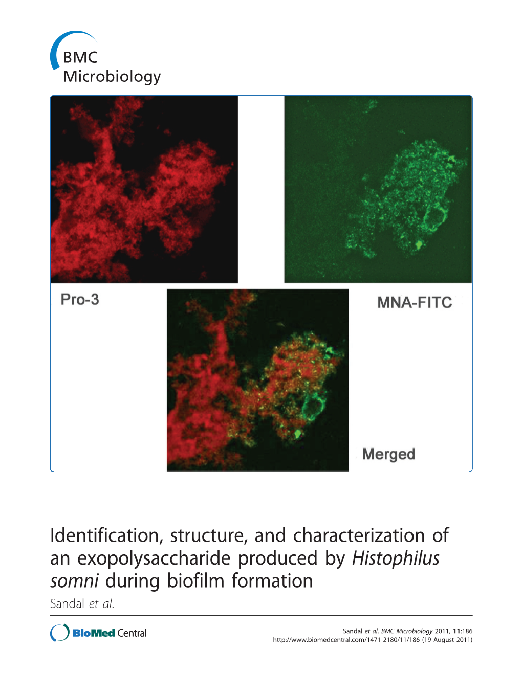 Identification, Structure, and Characterization of an Exopolysaccharide Produced by Histophilus Somni During Biofilm Formation Sandal Et Al