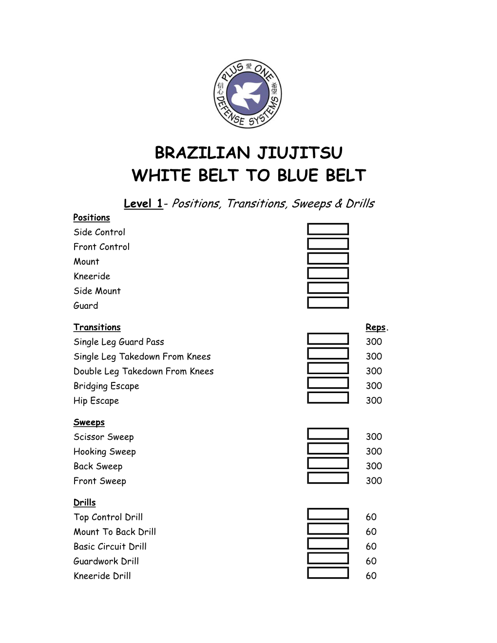 Brazilian Jiujitsu White Belt to Blue Belt