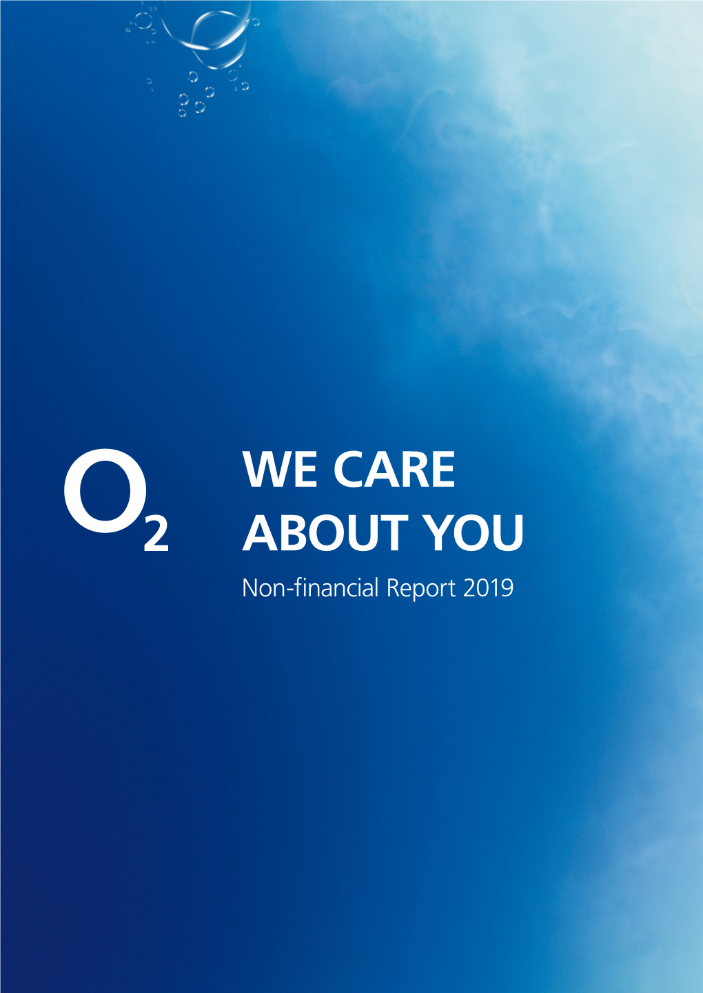 2019 Non-Financial Report