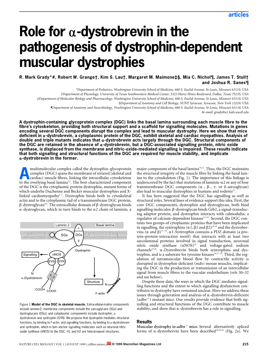 Role for Α-Dystrobrevin in the Pathogenesis of Dystrophin-Dependent Muscular Dystrophies