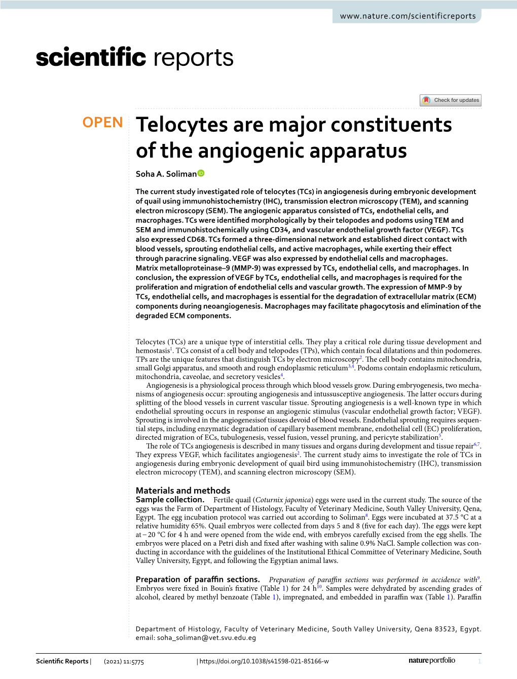Telocytes Are Major Constituents of the Angiogenic Apparatus Soha A