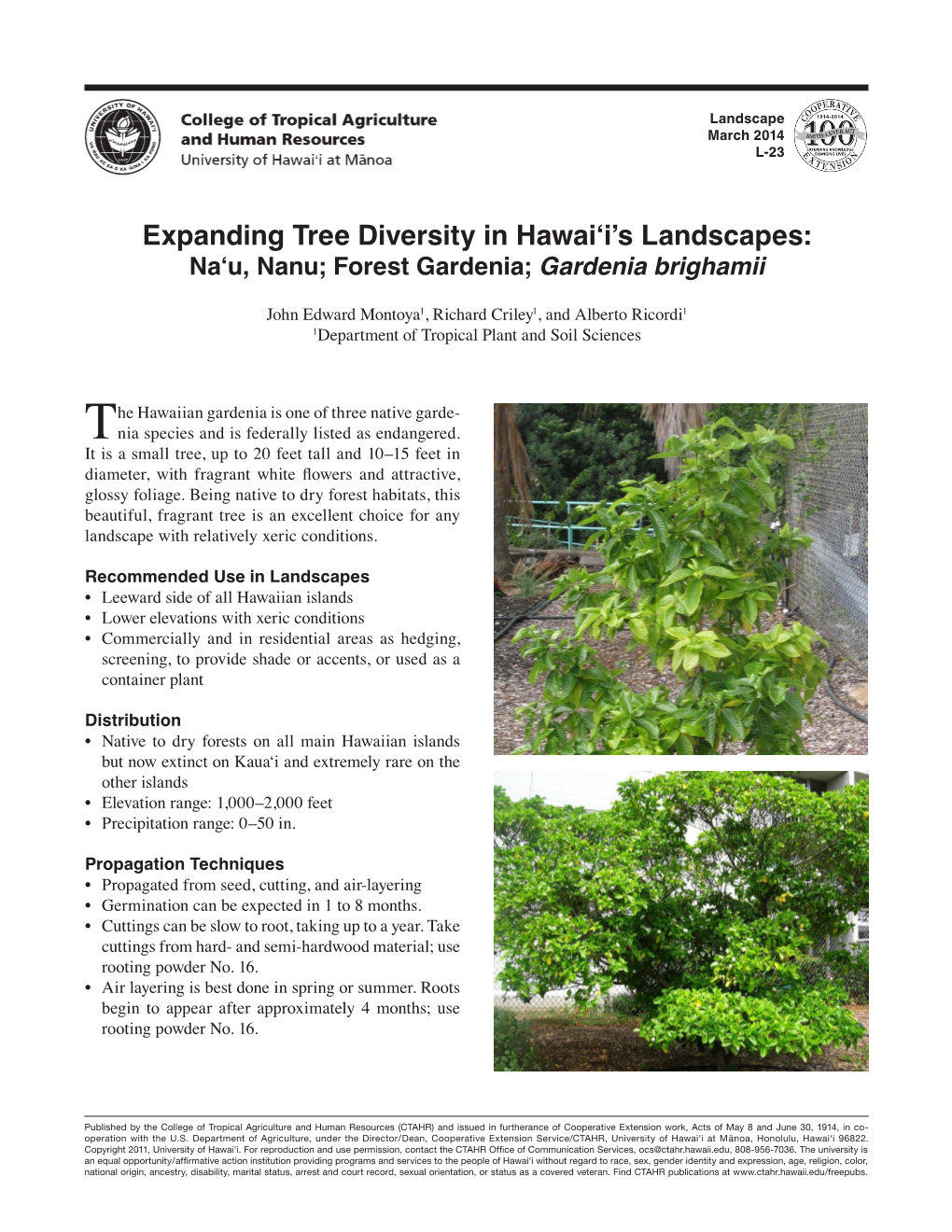 Expanding Tree Diversity in Hawai'i's Landscapes