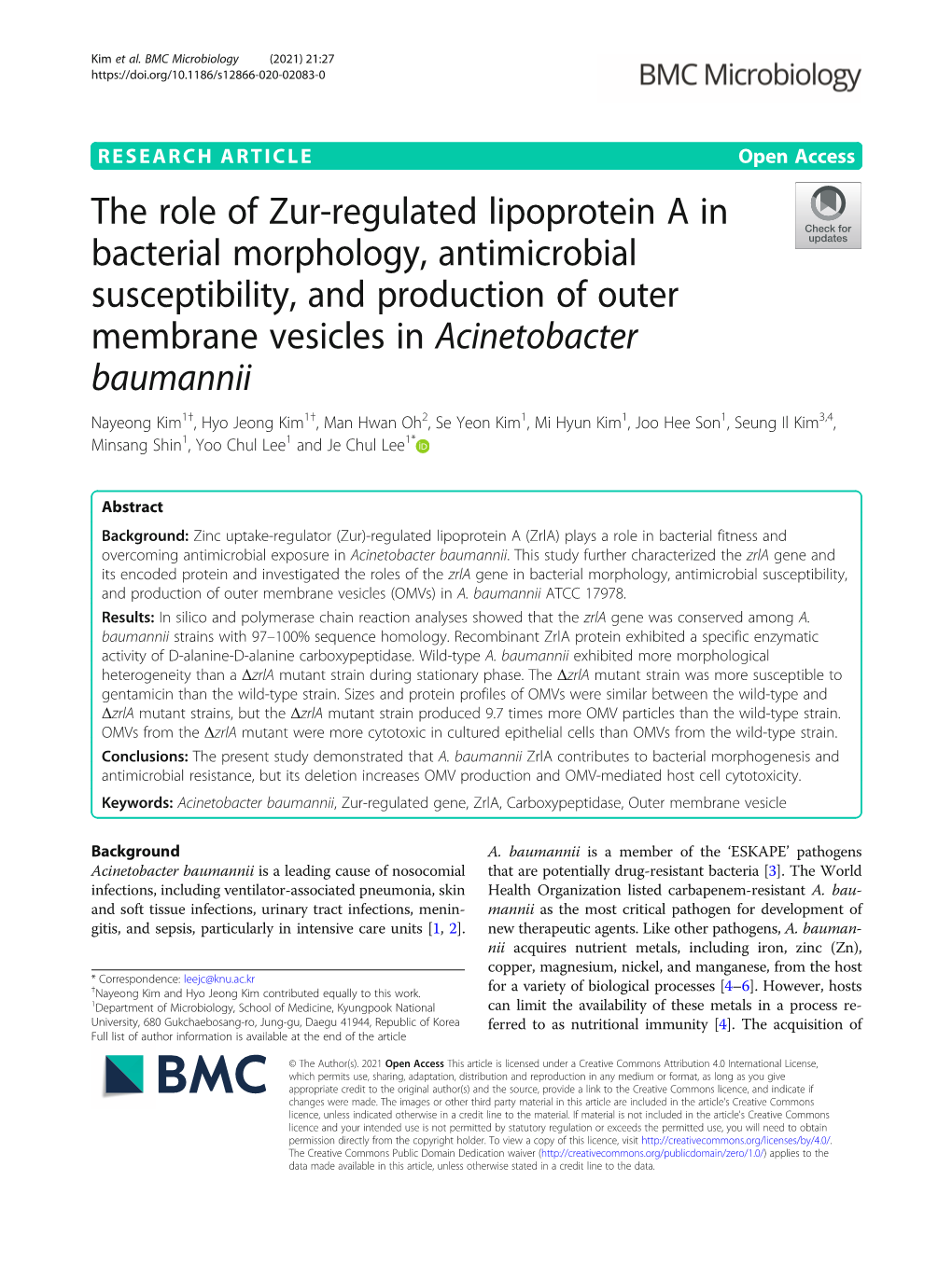 The Role of Zur-Regulated Lipoprotein a in Bacterial Morphology