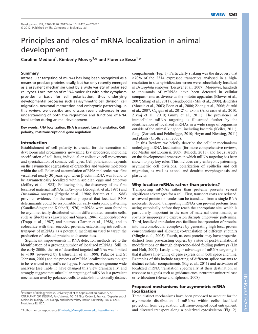 Principles and Roles of Mrna Localization in Animal Development Caroline Medioni1, Kimberly Mowry2,* and Florence Besse1,*