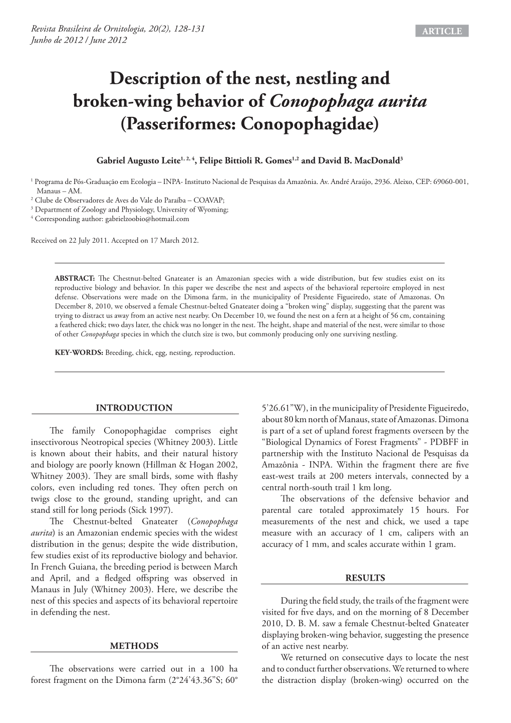 Description of the Nest, Nestling and Broken-Wing Behavior of Conopophaga Aurita (Passeriformes: Conopophagidae)