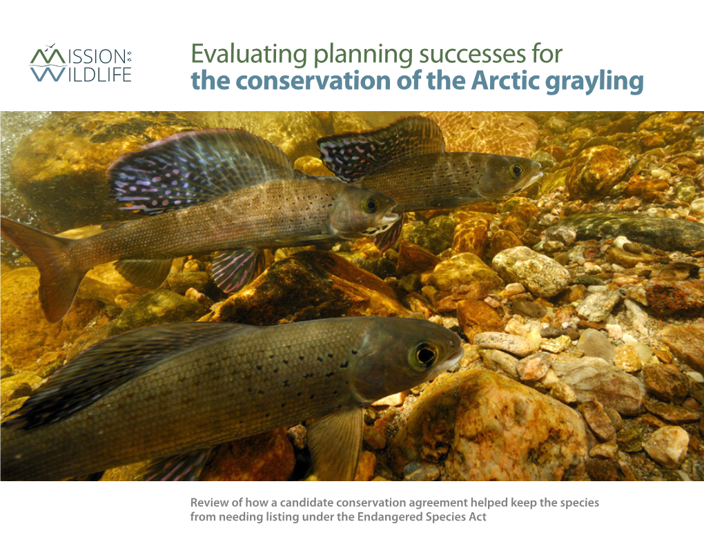 Evaluating Planning Successes for the Conservation of the Arctic Grayling