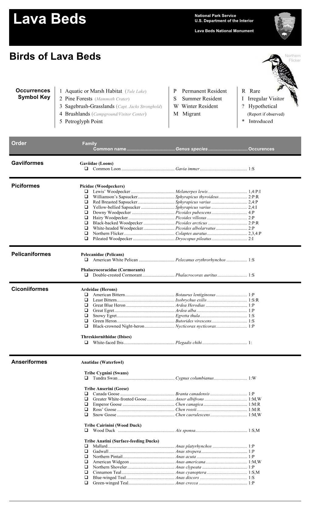 Bird Checklist