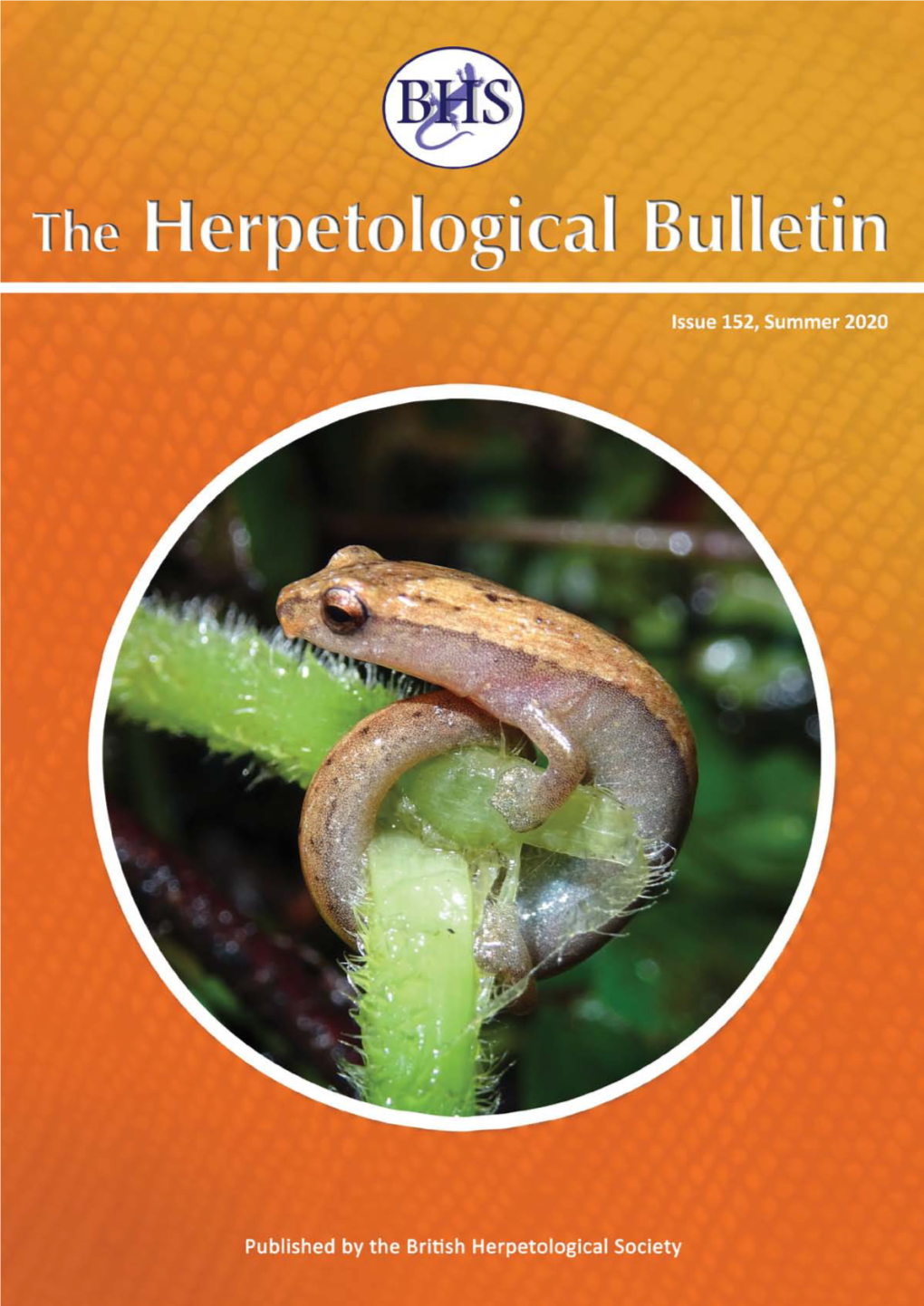 THE HERPETOLOGICAL BULLETIN the Herpetological Bulletin Is a Quarterly Publication in English, Without Page Charges to Authors