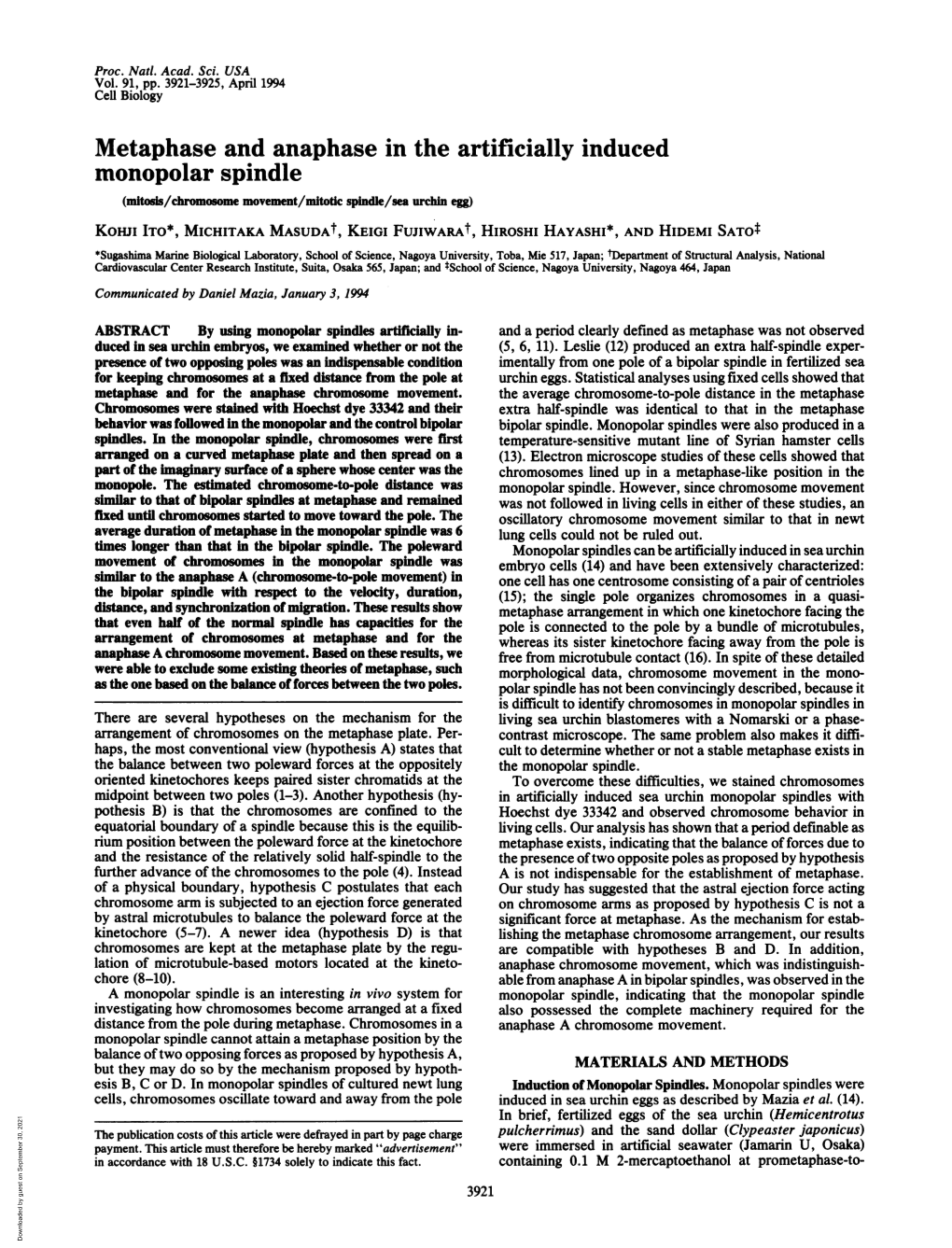 Metaphase and Anaphase in the Artificially Induced Monopolar Spindle