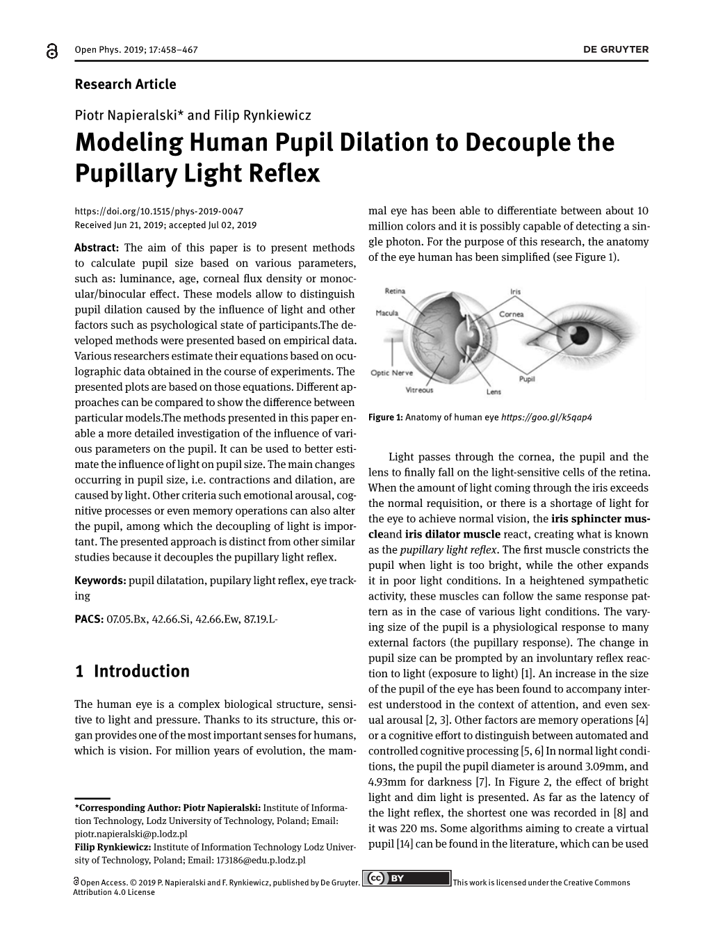 Modeling Human Pupil Dilation to Decouple the Pupillary Light Reflex