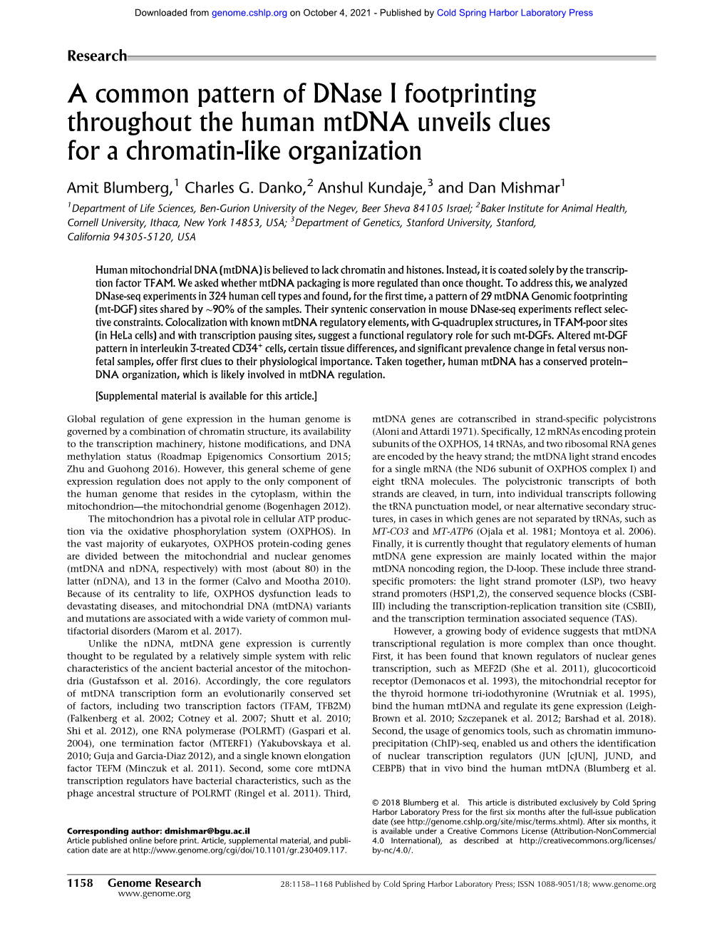 A Common Pattern of Dnase I Footprinting Throughout the Human Mtdna Unveils Clues for a Chromatin-Like Organization