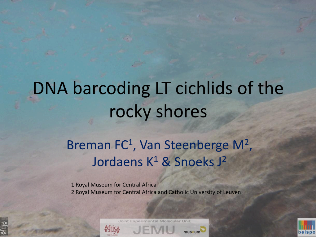 DNA Barcoding LT Cichlids of the Rocky Shores