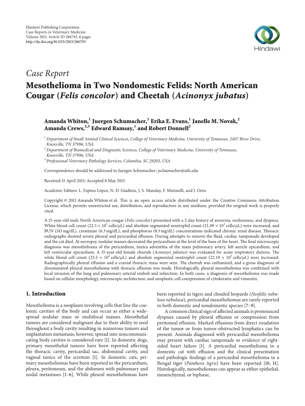 Mesothelioma in Two Nondomestic Felids: North American Cougar (Felis Concolor) and Cheetah (Acinonyx Jubatus)