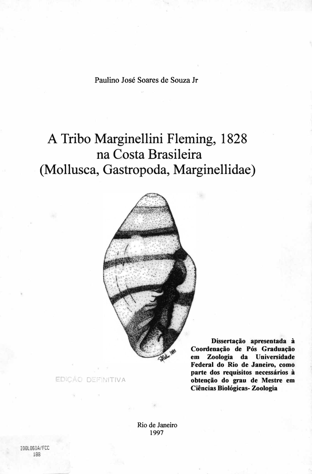 Mollusca, Gastropoda, Marginellidae)