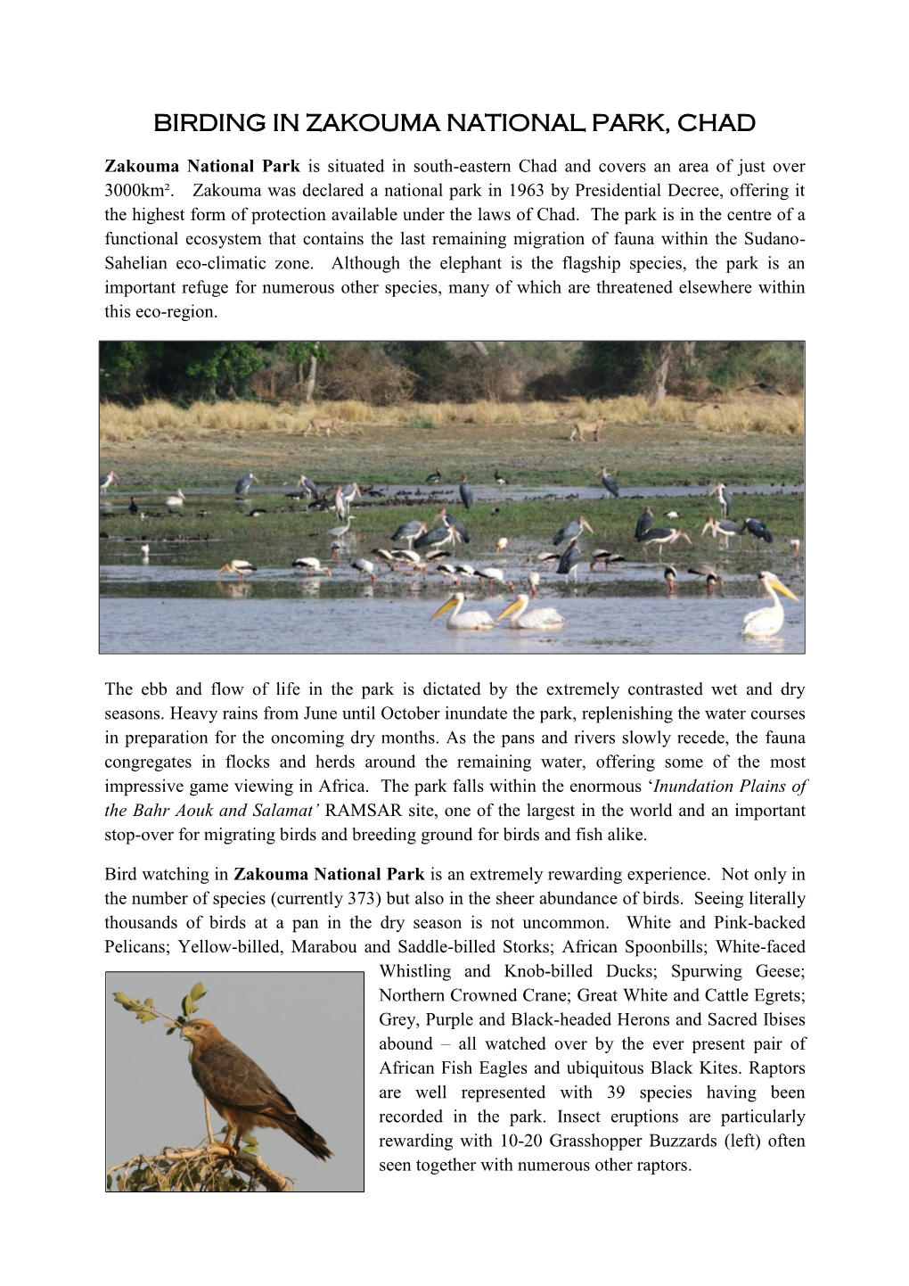 Birding in Zakouma National Park, Chad
