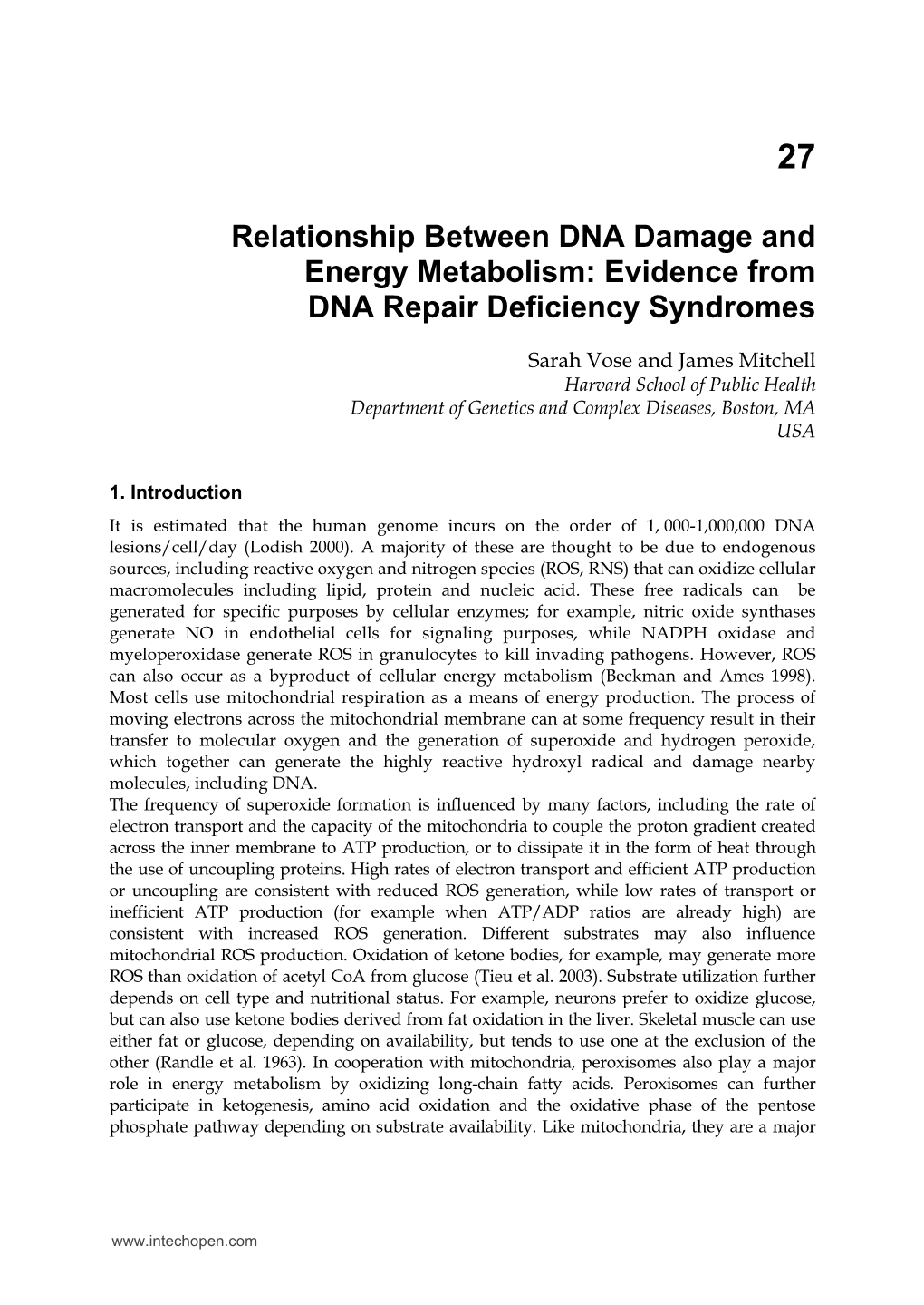 Relationship Between DNA Damage and Energy Metabolism: Evidence from DNA Repair Deficiency Syndromes