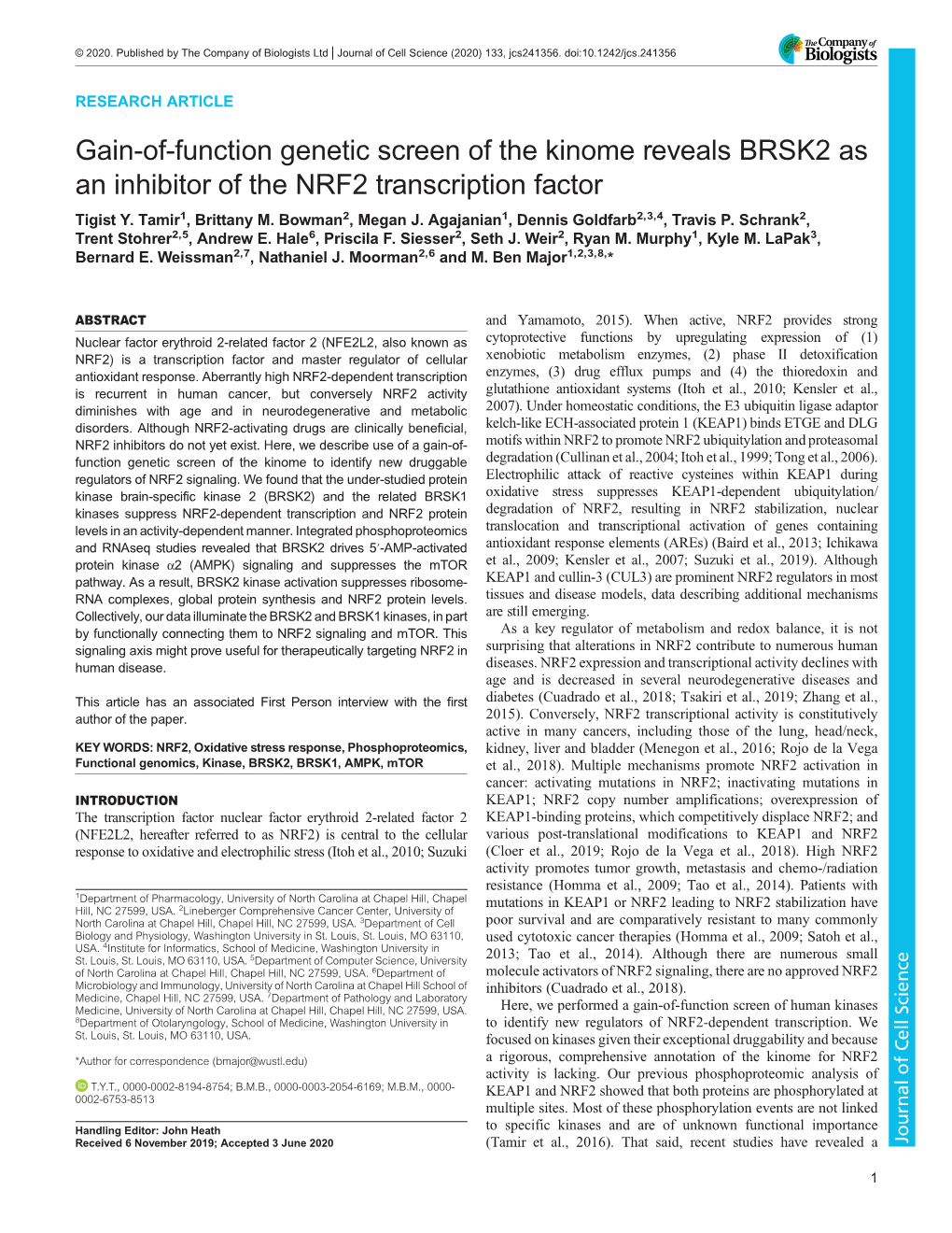 Gain-Of-Function Genetic Screen of the Kinome Reveals BRSK2 As an Inhibitor of the NRF2 Transcription Factor Tigist Y