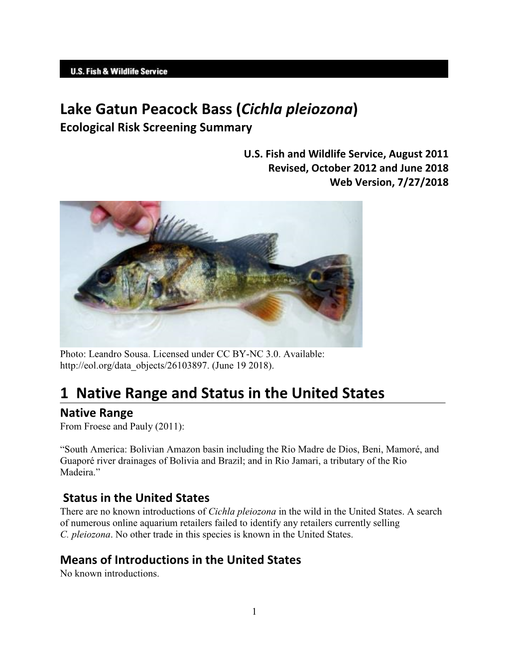 Lake Gatun Peacock Bass (Cichla Pleiozona) Ecological Risk Screening Summary