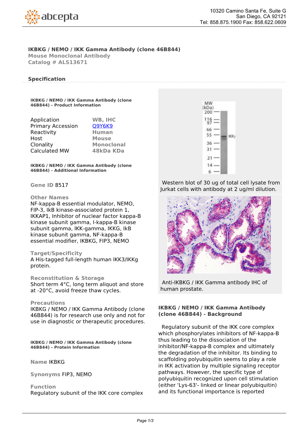 IKBKG / NEMO / IKK Gamma Antibody (Clone 46B844) Mouse Monoclonal Antibody Catalog # ALS13671