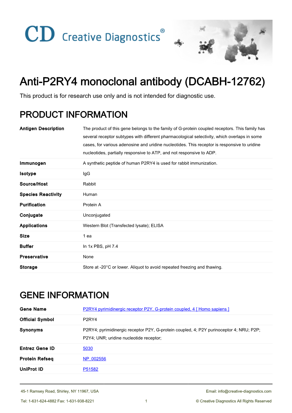 Anti-P2RY4 Monoclonal Antibody (DCABH-12762) This Product Is for Research Use Only and Is Not Intended for Diagnostic Use