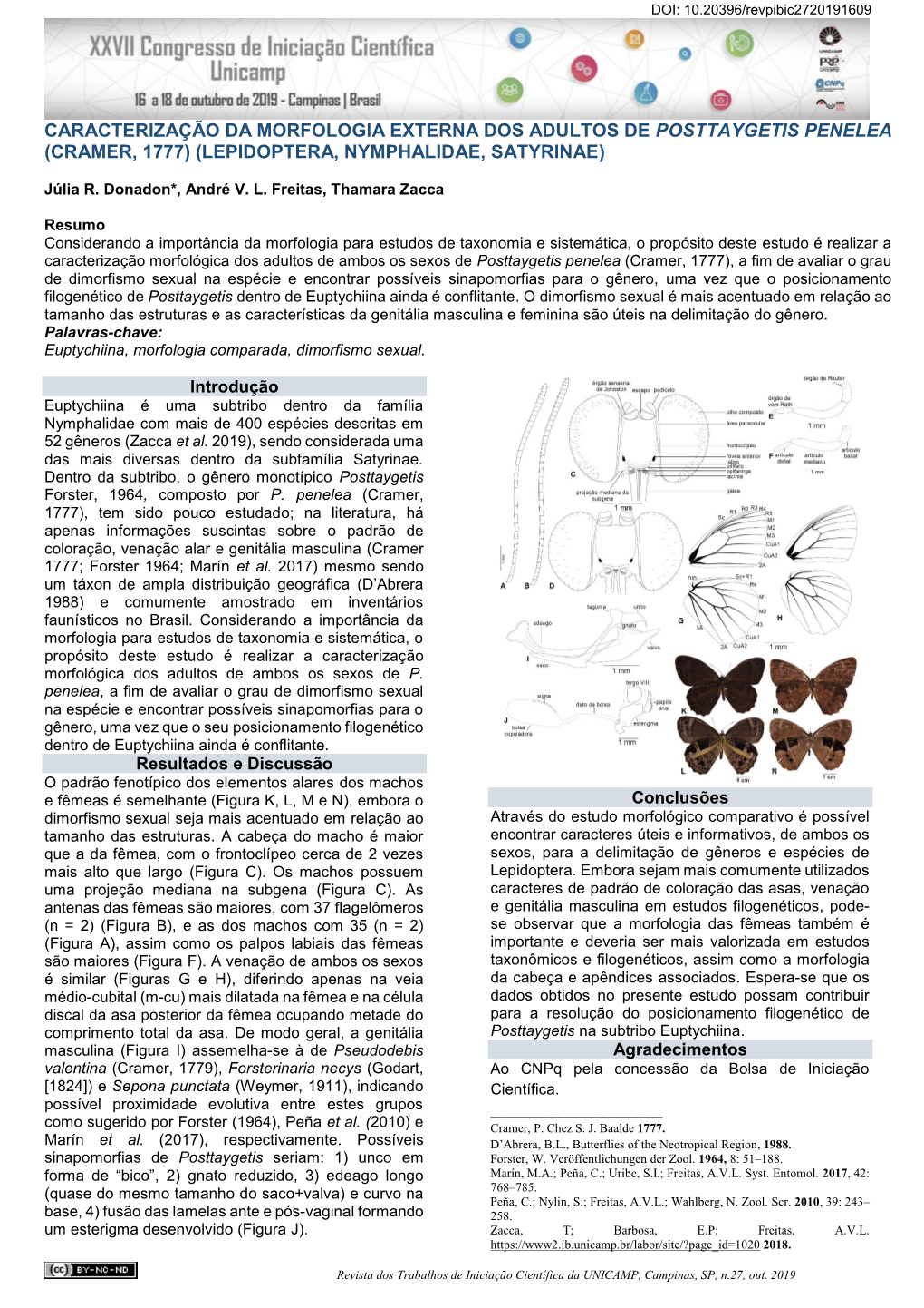 Caracterização Da Morfologia Externa Dos Adultos De Posttaygetis Penelea (Cramer, 1777) (Lepidoptera, Nymphalidae, Satyrinae)