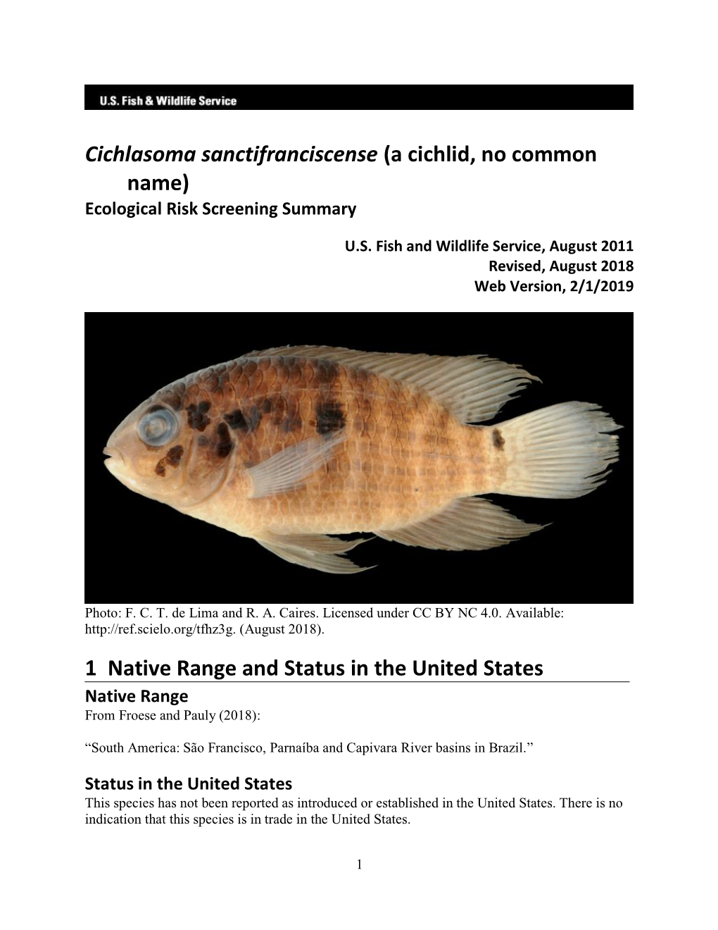 Cichlasoma Sanctifranciscense (A Cichlid, No Common Name) Ecological Risk Screening Summary
