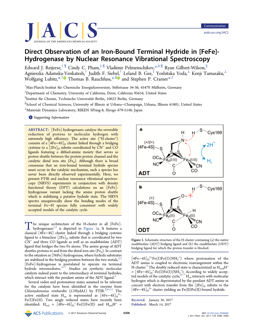Direct Observation of an Iron-Bound Terminal Hydride in [Fefe]- Hydrogenase by Nuclear Resonance Vibrational Spectroscopy † ¶ ‡ ¶ § ¶ ∥ Edward J
