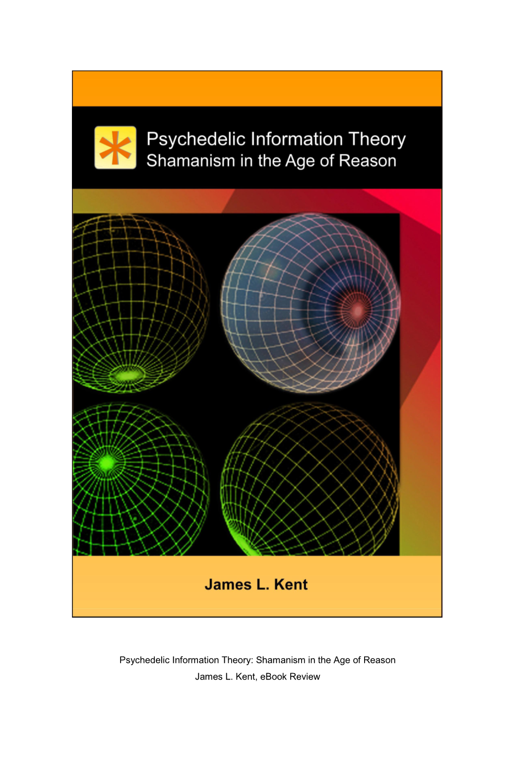 Psychedelic Information Theory: Shamanism in the Age of Reason James L