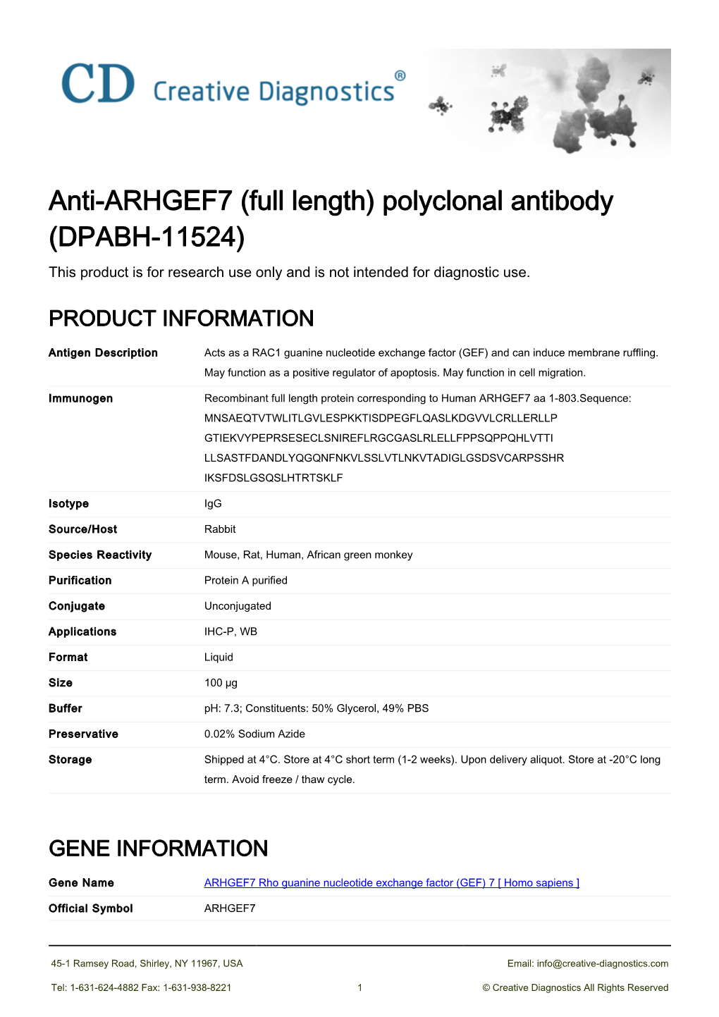 Anti-ARHGEF7 (Full Length) Polyclonal Antibody (DPABH-11524) This Product Is for Research Use Only and Is Not Intended for Diagnostic Use