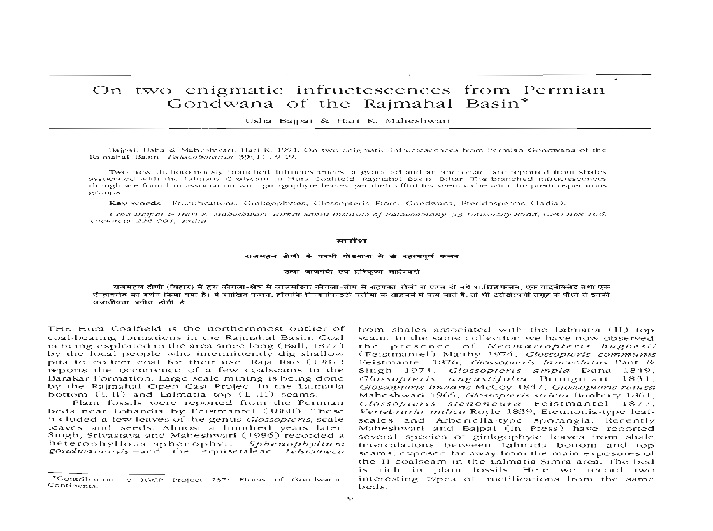 From Permian Basin* Enigmatic Infructescences of the Rajmahal