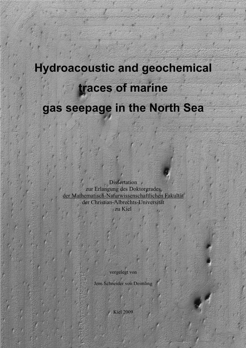 Hydroacoustic and Geochemical Traces of Marine Gas Seepage in the North Sea