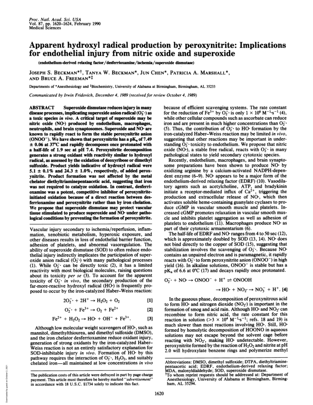 Implications for Endothelial Injury from Nitric Oxide and Superoxide (Endothelium-Derived Relaxing Factor/Desferrioxamine/Ischemia/Superoxide Dismutase) JOSEPH S