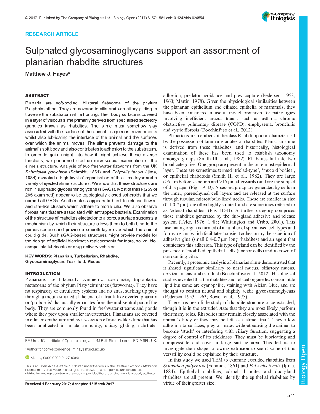 Sulphated Glycosaminoglycans Support an Assortment of Planarian Rhabdite Structures Matthew J