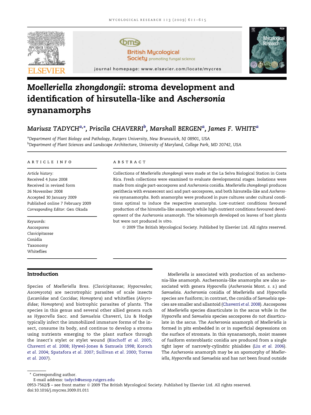 Stroma Development and Identification of Hirsutella-Like and Aschersonia