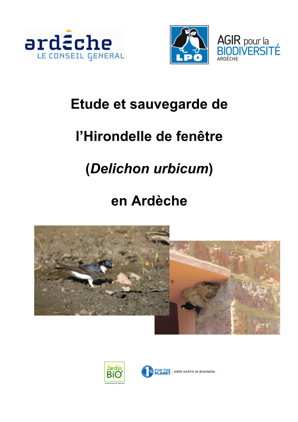 Etude Et Sauvegarde De L'hirondelle De Fenêtre En Ardèche –