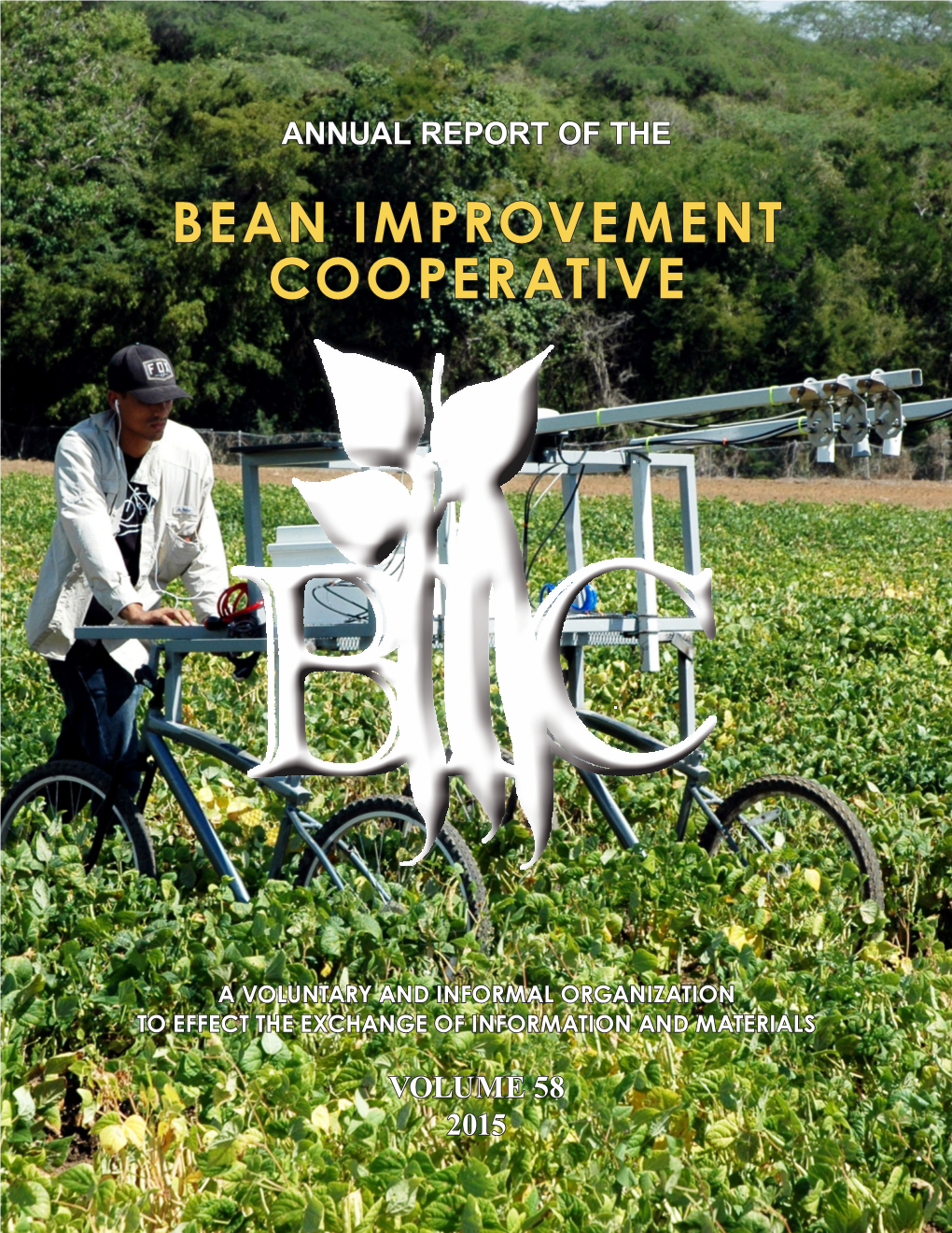 Bean Improvement Cooperative