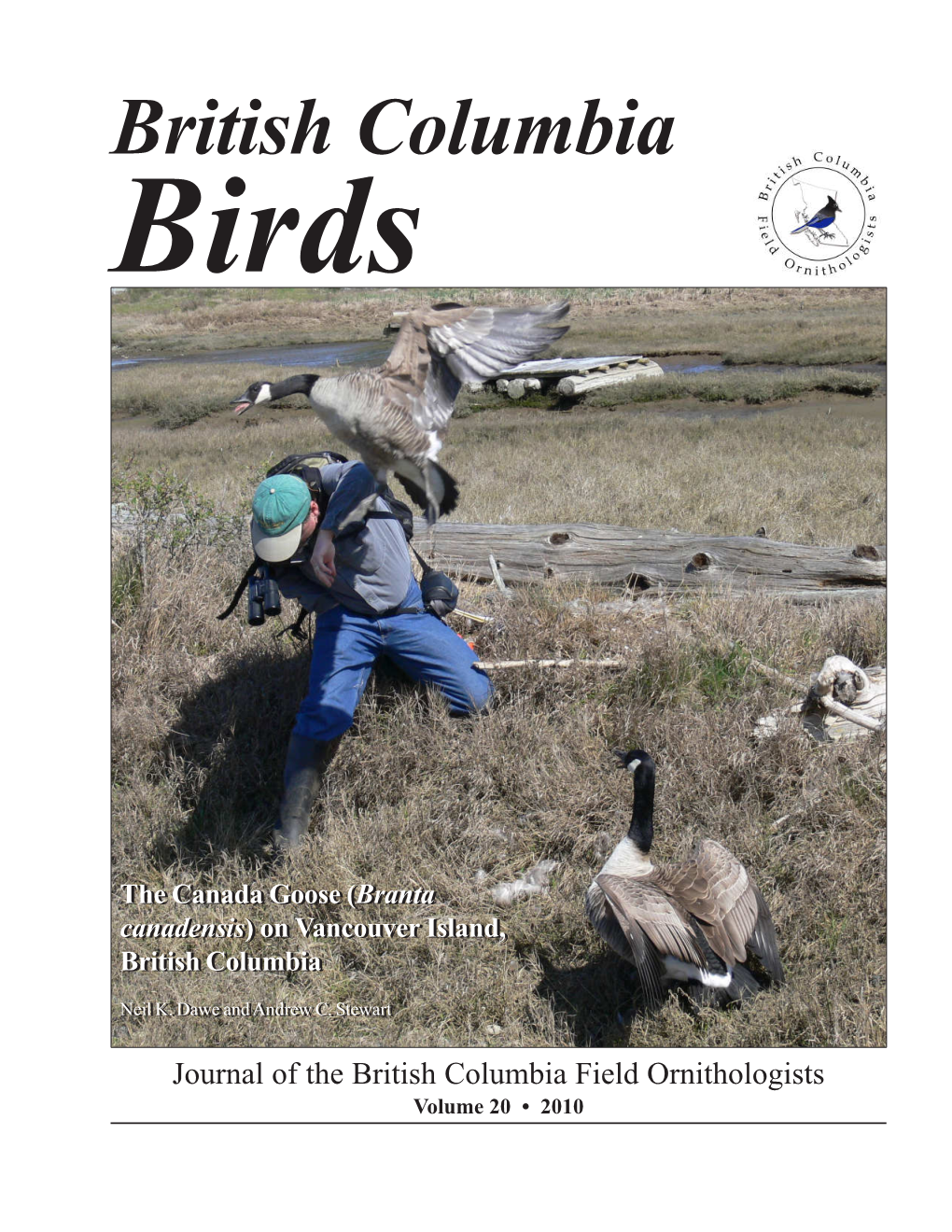 British Columbia Birds the Canada Goose